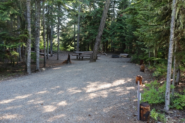 Camping in Washingtons Kachess Campground.